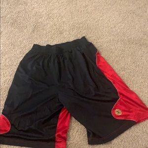 Air Jordan Shorts